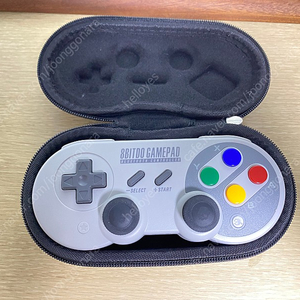 8bitdo sf30 pro + 케이스