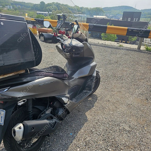 pcx125. 5개월탄차량팝니다