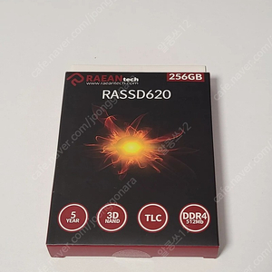 래안텍 RASSD620 M.2 NVMe (256GB) - D램탑재
