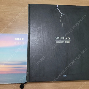 bts wings concept book