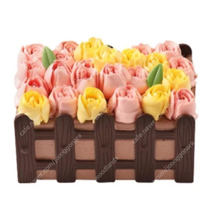 파리바게뜨 한아름 꽃 바구니 케이크 29000 > 25000 파리바게트 케익