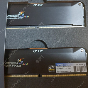 Oloy ddr5 5600 16G(8G*2)