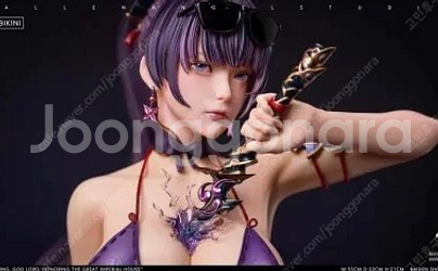 FA studio 라이덴 비키니 버젼 레진 피규어 팔아...--0