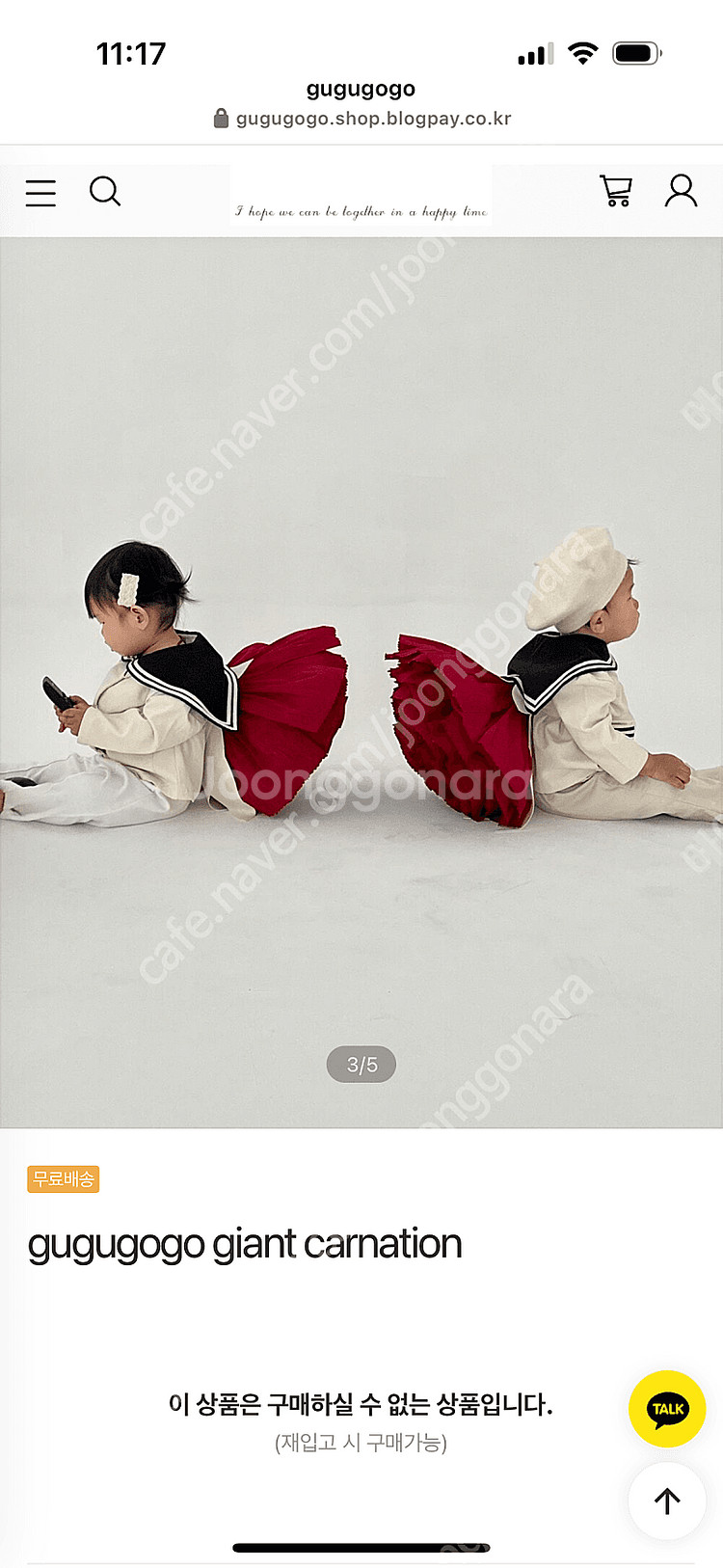 구구고고 자이언트카네이션--0