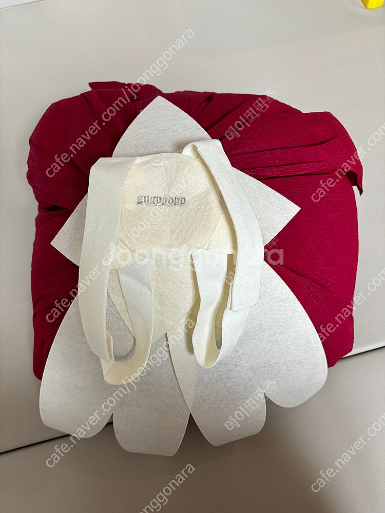 구구고고 자이언트카네이션--1