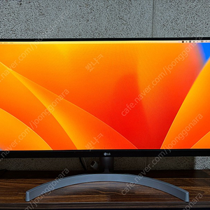 Lg 29인치 와이드 모니터 29wn600