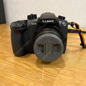 Lumix GH5 + Kamlan 50mm F 1.1