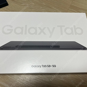 갤럭시탭 S8+ 5G 256G