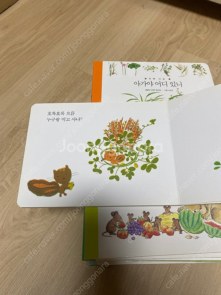 세밀화로 그린 보리아기 그림책 전집 30권--2