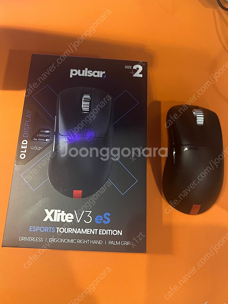펄브삼 펄사 Xlite v3 es 팝니다--0