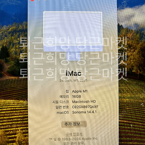 M1 24인치 아이맥 (16GB/1TB) 퍼플 팝니다.