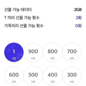 SK T끼리 데이터 2GB