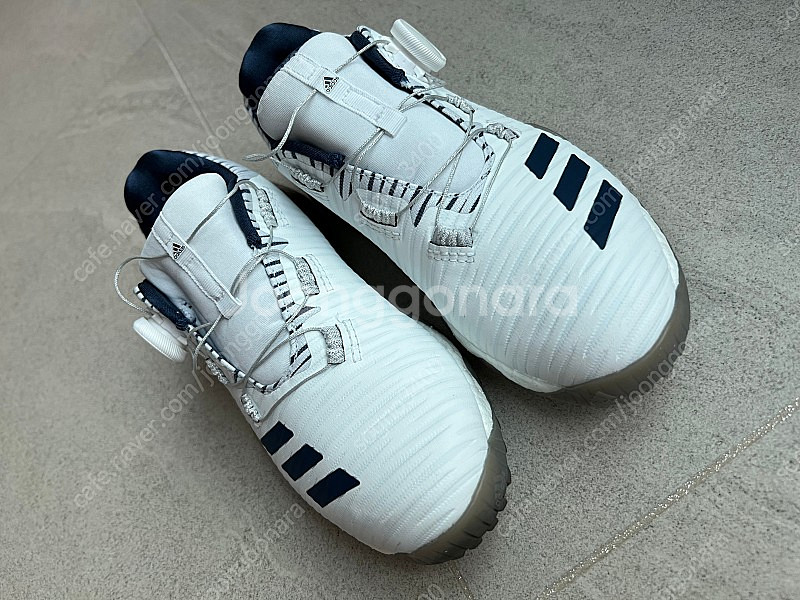 아디다스골프화 (235) 코드케이오스보아--1