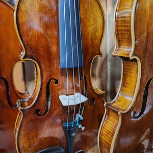4/4 중고바이올린 몬테 바이올린 상태최상 풀셋트 점검완료 사각케이스 어깨받침 송진 활 풀셋트 있음 브랜드별 다양