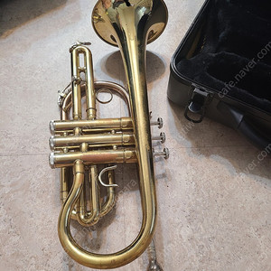로얄 트럼펫 CR8356 Royale Trumpet ... 창동역 쪽 25만원
