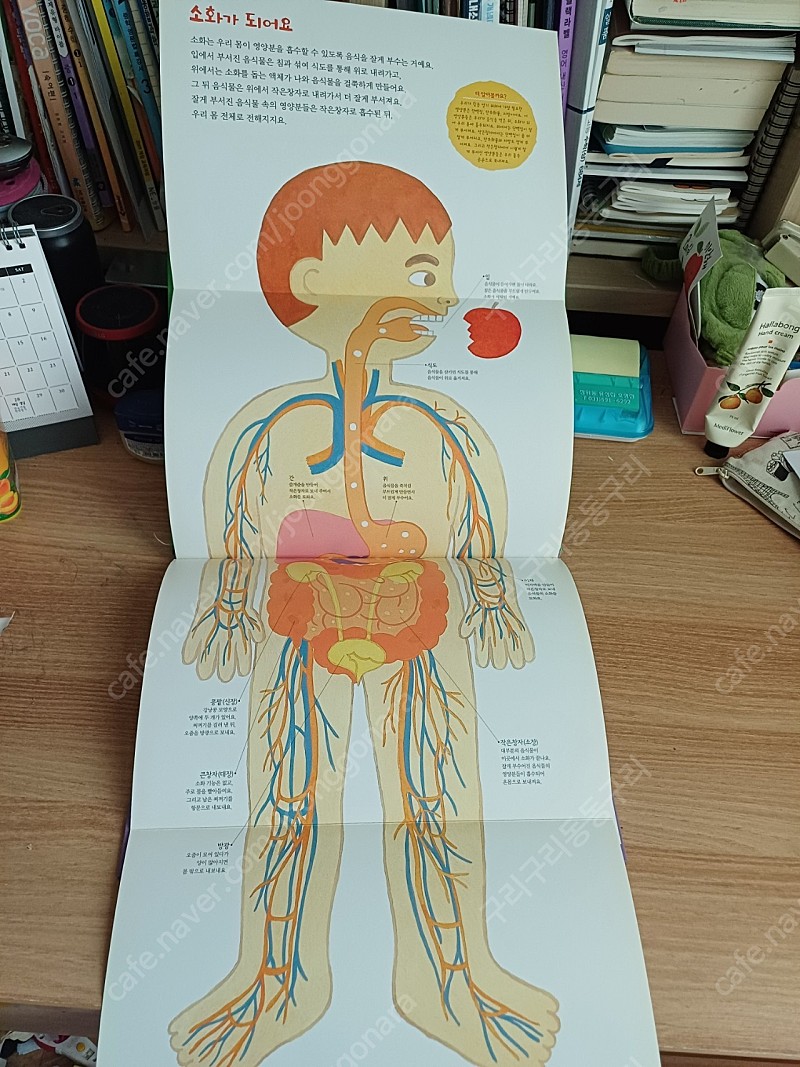 두산동아 자연관찰책 60권 상태 좋아요 택포