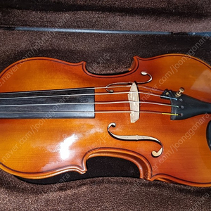 Atonius Stradivarius 유정근 바이올린