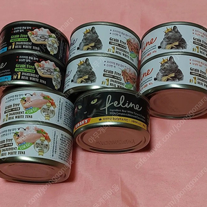 [펫클럽]데이스포 필라인 흰살참치 와 치킨외 5종 (고양이) 캔 통조림