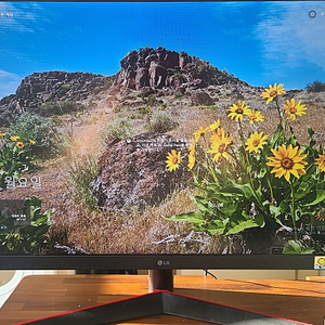 LG 32인치 울트라기어 144Hz 모니터