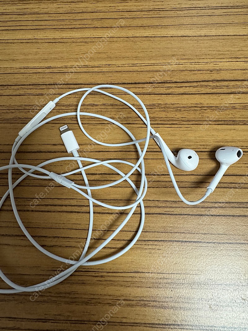애플 정품 라이트닝 이어폰 이어팟