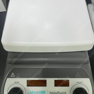 자력교반기 Labnet Accuplate(hotplate stirrer)