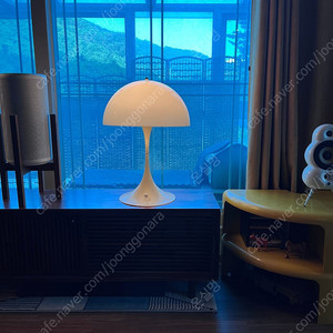 루이스폴센 판텔라(배꼽) 50size