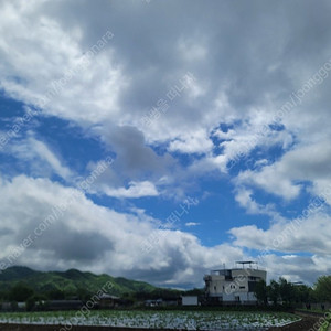 배민 상품권 5만원짜리 팝니다