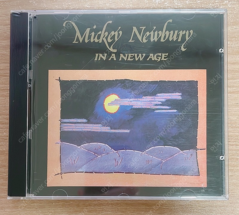 미키 뉴베리 Mickey Newbury - In A New Age 미개봉