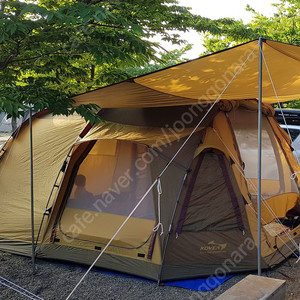 코베아 덴버 텐트
