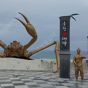 교원 여행이지 상품권 삽니다