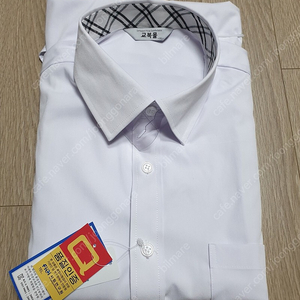 교복 셔츠 그레이체크 XL 새상품 (교복몰)