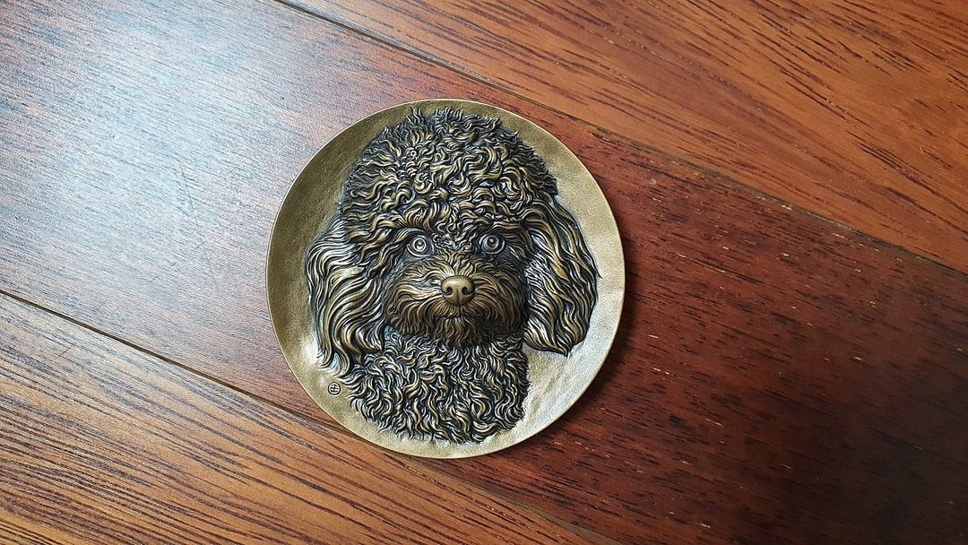 중국 수집형 동메달 분양합니다 이미지