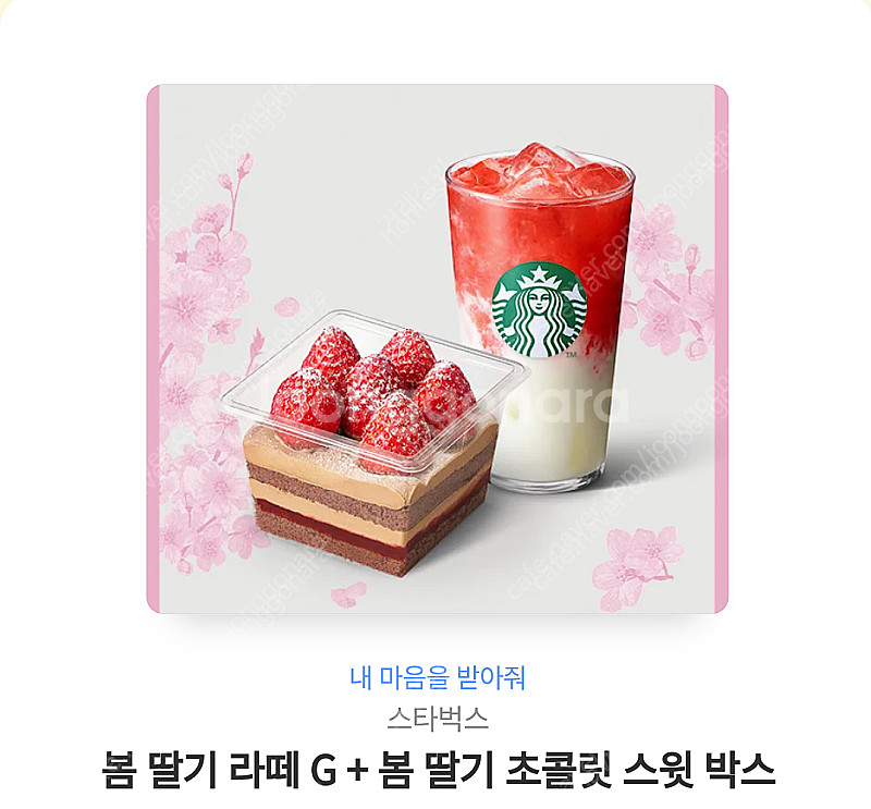 봄 딸기라떼 G + 봄 딸기 초콜릿 스윗박스 스타벅스 ...--0