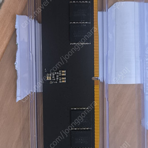 (택포) 패트리어트 DDR5 32G CL46 SIGNATURE 5600MHz 파인인포
