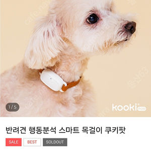 쿠키팟 강아지 건강 체크