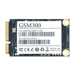[미사용/새제품] 젬스톤 GSTON GSM300 mSATA 벌크 (256GB)