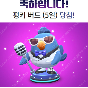 카러플 펑키버드 5일