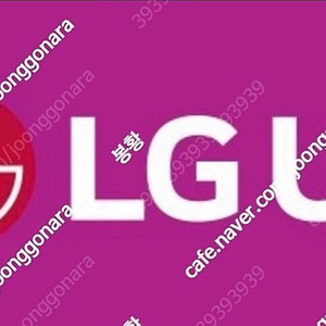LG U+ 유플러스 데이터 2기가
