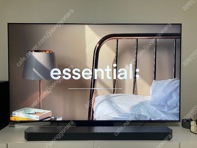 [팝니다][가격인하] 삼성 65인치 NEO QLED 4K TV, 삼성 TV (스탠드형)