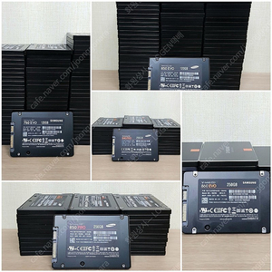 NVMe 1TB PM9A1 PM981 각종 SSD