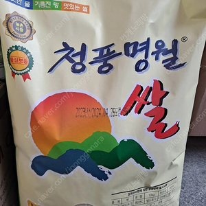 선착순)23년햅쌀 상등급 농협 청풍명월쌀10kgx2포(총20kg)무료배송43900원 10kg 무료배송23900원 최근도정