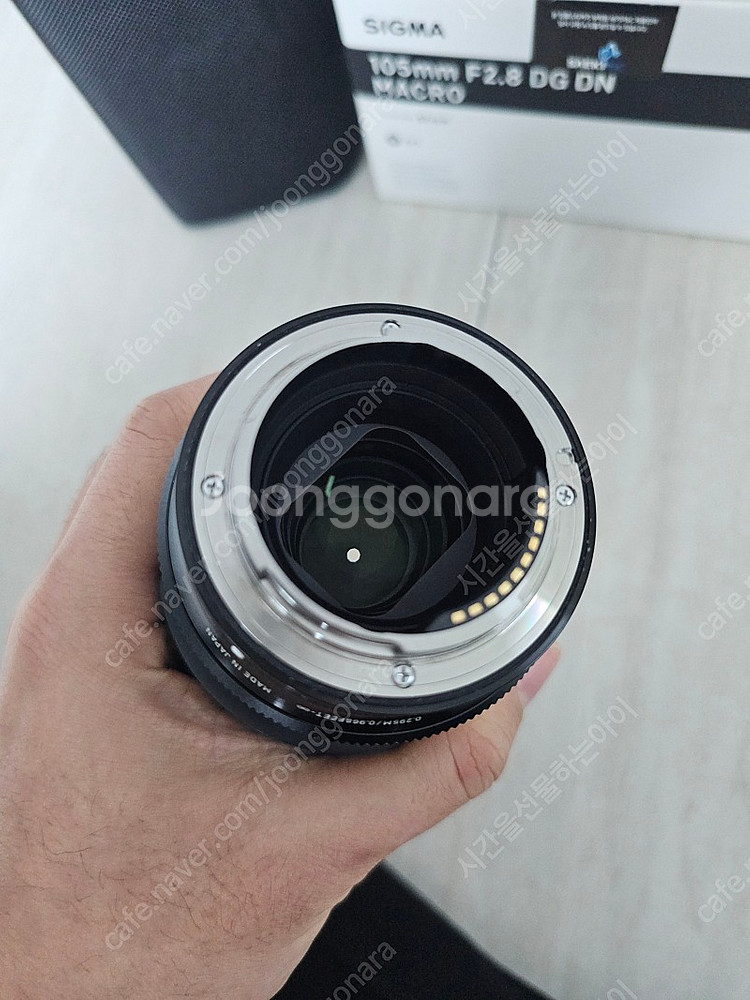 시그마 FE 105mm f2.8 macro 렌즈 팜--2