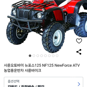 뉴포스125 ATV 사발이 판매합니다 (신차급)