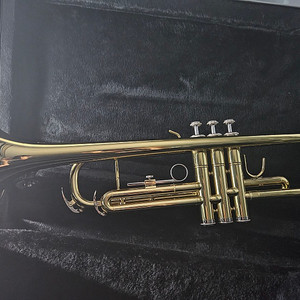 저먼파고트 tp-301 트럼펫