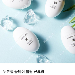 블랑두부 누본셀 선크림 2통