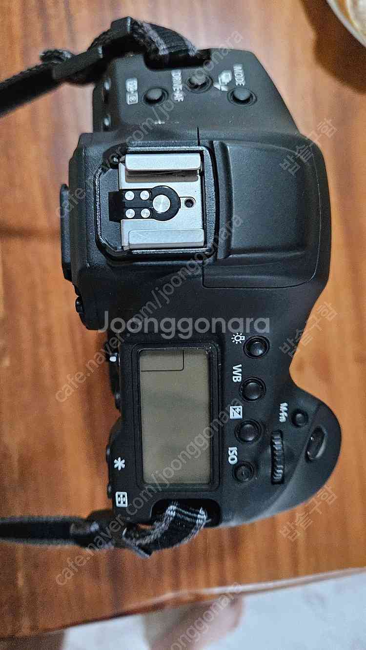 캐논 1dx mark2--2