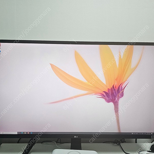 LG 32UD59 4k 모니터 판매합니다.