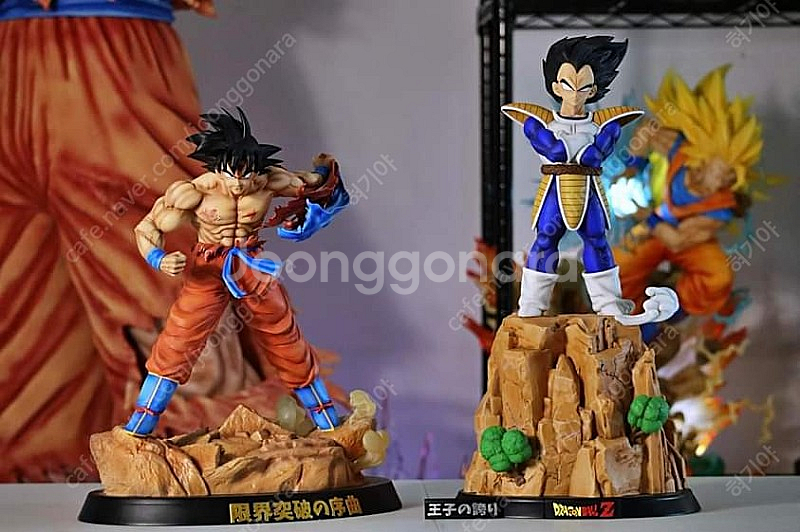 드래곤볼 레진 - Real studio--3