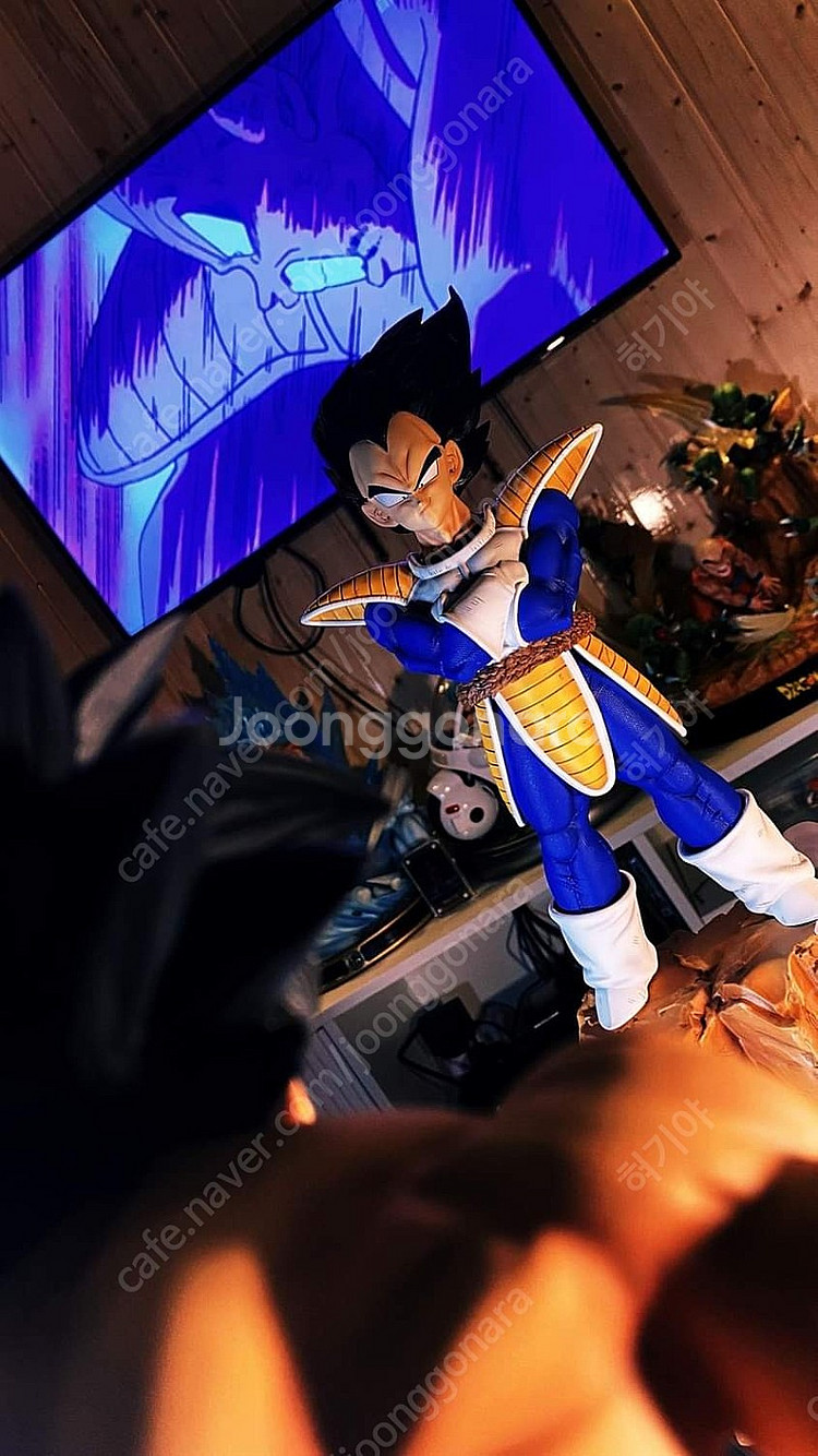 드래곤볼 레진 - Real studio--8