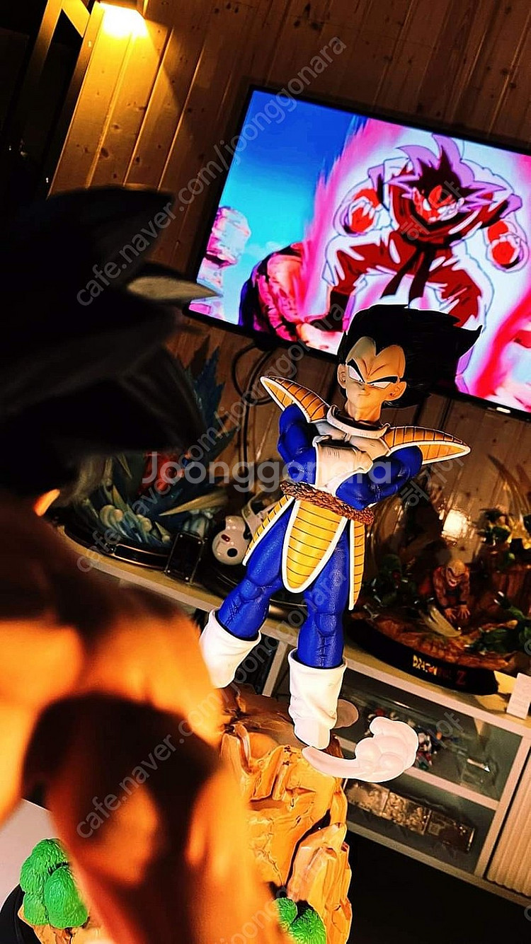 드래곤볼 레진 - Real studio--9